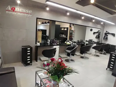 Agnesse. Boruń Hair Salon Fryzjerski